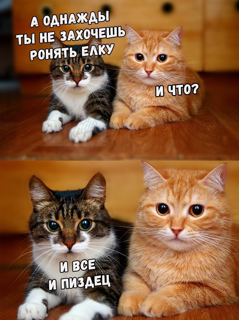 А ТЫ НЕ РОНЯТЬ EAKY И ЧТО? BCE И ПИЗДЕЦ