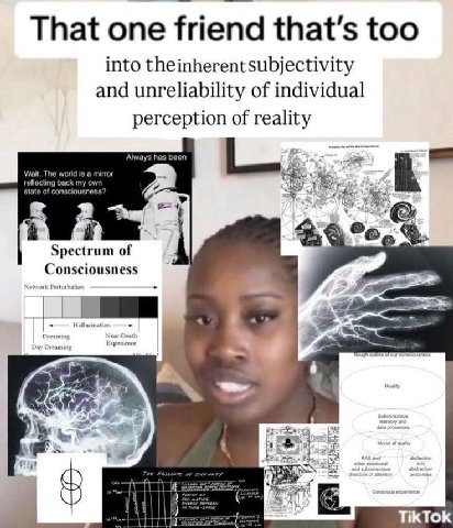 That one friend that’s too into theinherentsubjectivity and unreliability of individual perception of reality As. flect tate of Spectrum of Consciousness tall Exy TikTok