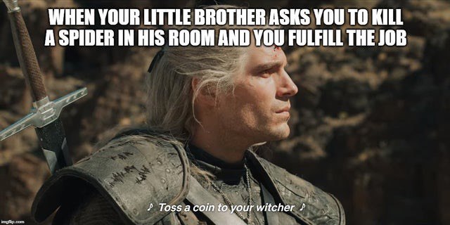 WHEN YOUR LITTLE BROTHER ASKS YOU TO KILL A SPIDER IN HIS ROOM AND You FULFILL THE JOB Toss сот: witcher