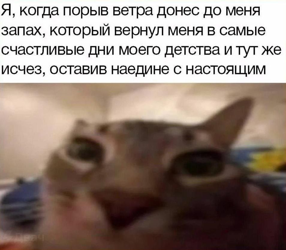 Я, когда порыв ветра донес до меня запах, который вернул меня в самые дни моего детства и TYT исчез, оставив наедине с настоящим a