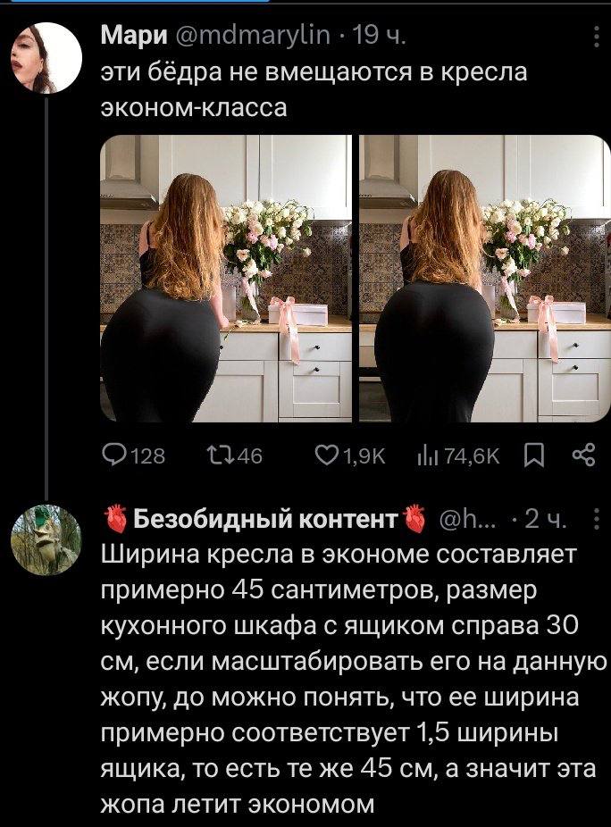 Мари @mdmarylin 19 В) эти бёдра не вмещаются в кресла эконом-класса A 1146 Безобидный контент 2 Ширина кресла в экономе составляет примерно 45 сантиметров, размер кухонного шкафа с ящиком справа 30 ес