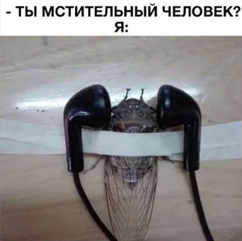 ТЫ МСТИТЕЛЬНЫЙ ЧЕЛОВЕК? Я: