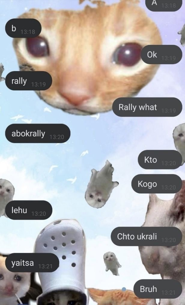 Kogo Chto ukrali yaitsa Bruh