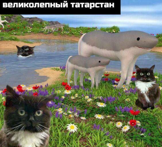 великолепный татарстан