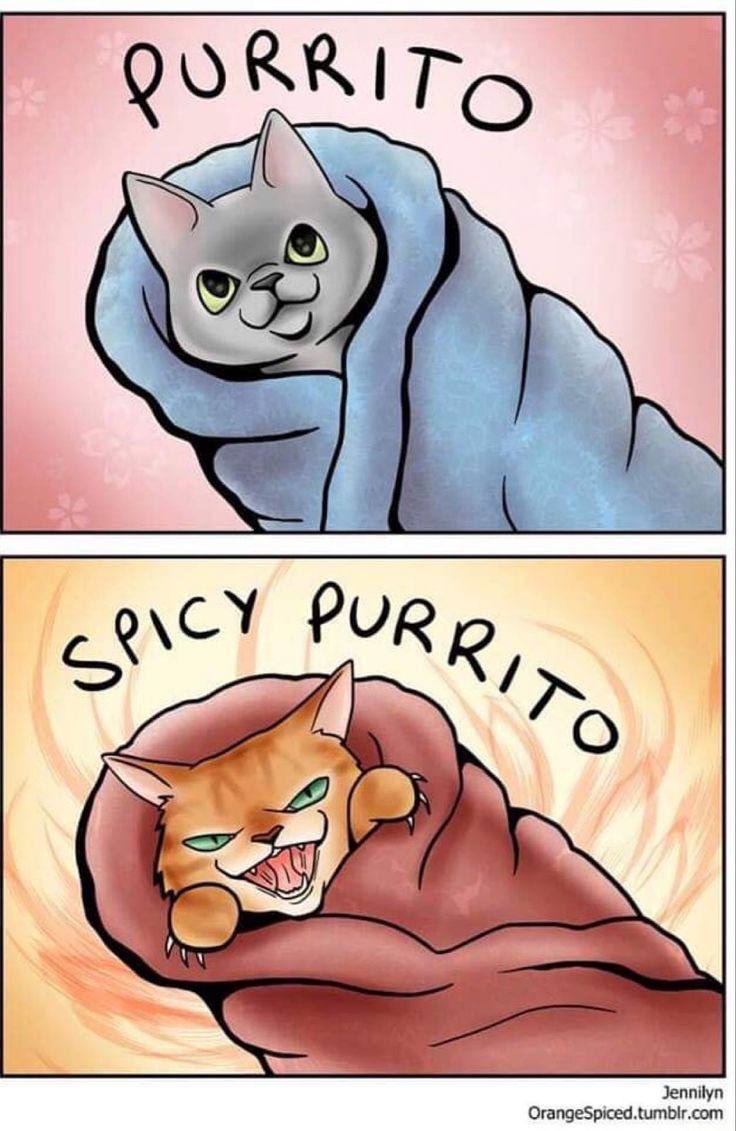 PUR ngeSpiced Jennily