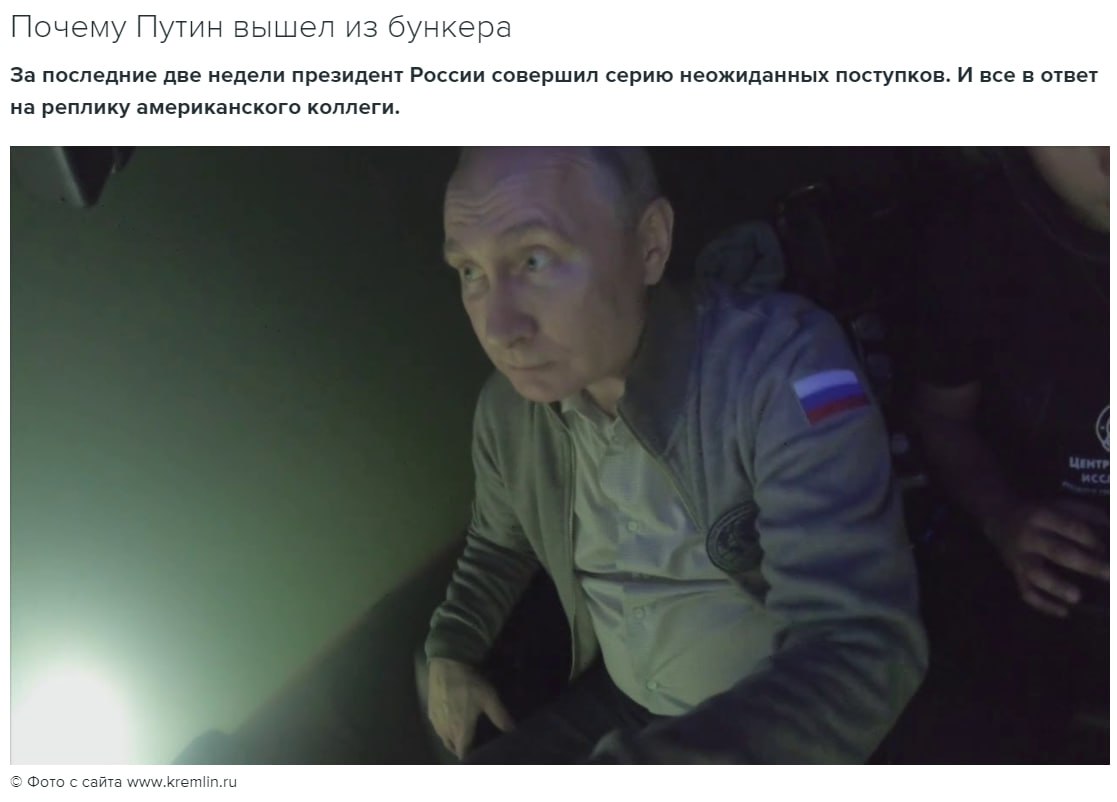 люблю жж