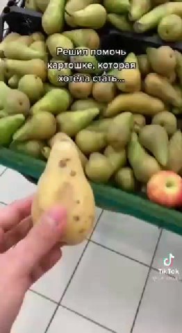 решипомочь caeppeMr, ROTOR хотела{стать... карлошке, которая\ '