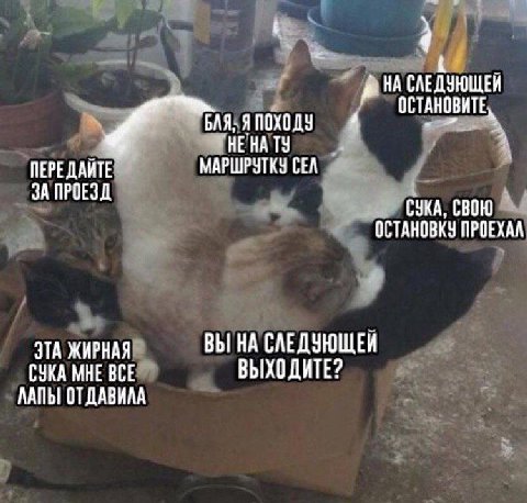 СЛЕДУЮЩЕЙ ОСТАНОВИТЕ BAR: 4 ПЕРЕДАЙТЕ. МАРШРУТКУ CEA ЗА ПРОЕЗ СУКА, СВОЮ ОСТАНОВКУ ПРОЕХАЛ ЭТА ЖИРНАЯ ВЫ НА СЛЕДУЮЩЕЙ СУКА МНЕ ВСЕ ВЫХОДИТЕ? ЛАПЫ ОТДАВИЛА