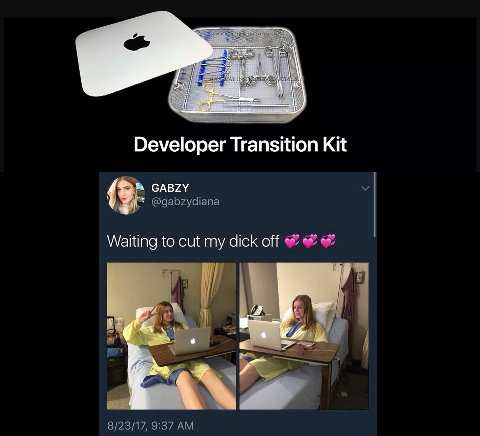 Developer Transition Kit GABZY Waiting to cut my dick оН AN