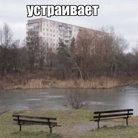устраивает