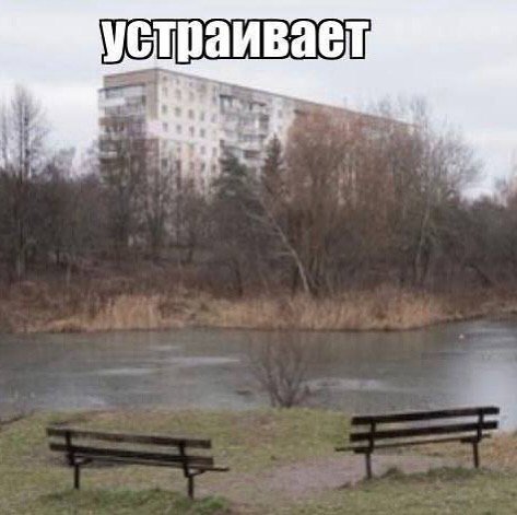 устраивает