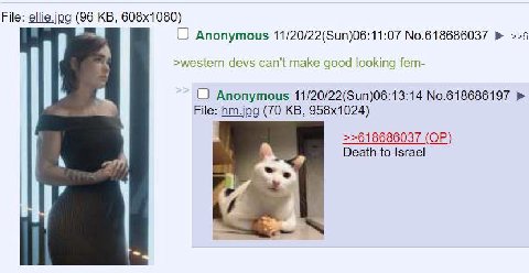 File: (96 О Anonymous 11/20/22(Sun)06:11:07 No.618686037 ==6 >western devs can't make good looking fem- Anonymous 11/20/22(Sun)06:13:14 No.618686197 File: hm.jpg (70 >>618686037 Death to Israel
