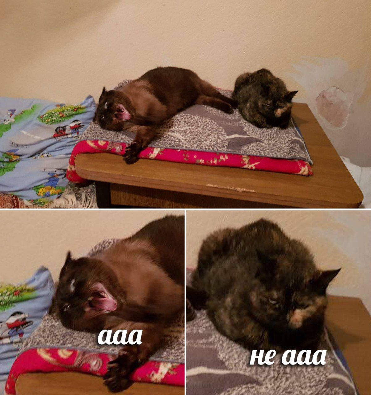 ааа не ааа