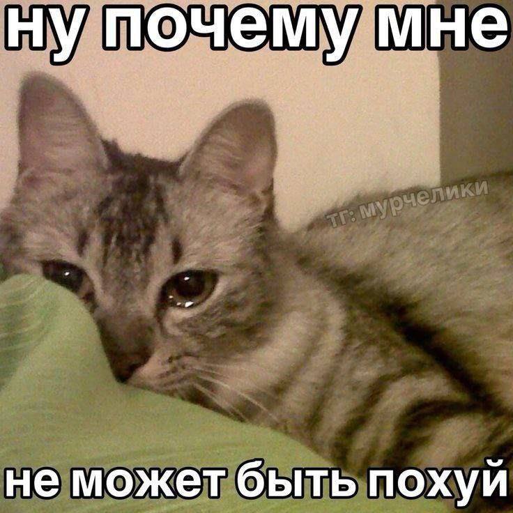 ну почему мне не может быть