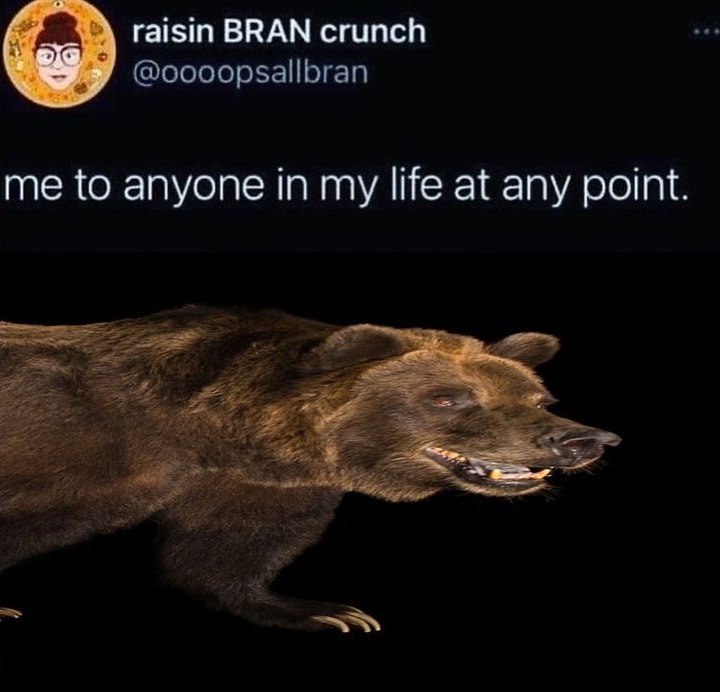 raisin BRAN crunch @oooopsallbran me to anyone in my life at any point