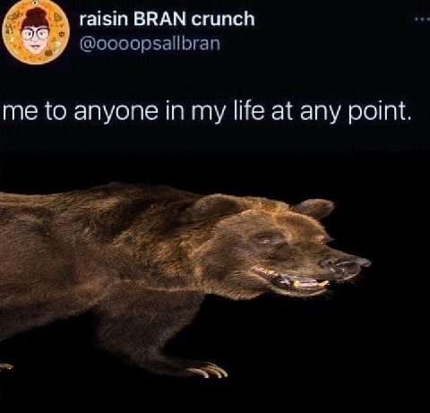 raisin BRAN crunch @oooopsallbran me to anyone in my life at any point