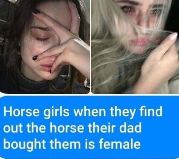 Horse girls when they find out the horse their dad bought them is female