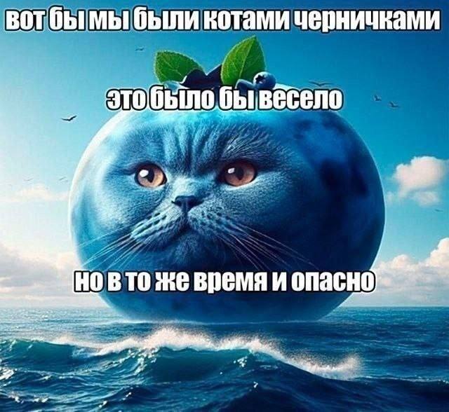BOT бымы были котами черничками этобыло бывесело Же время и an