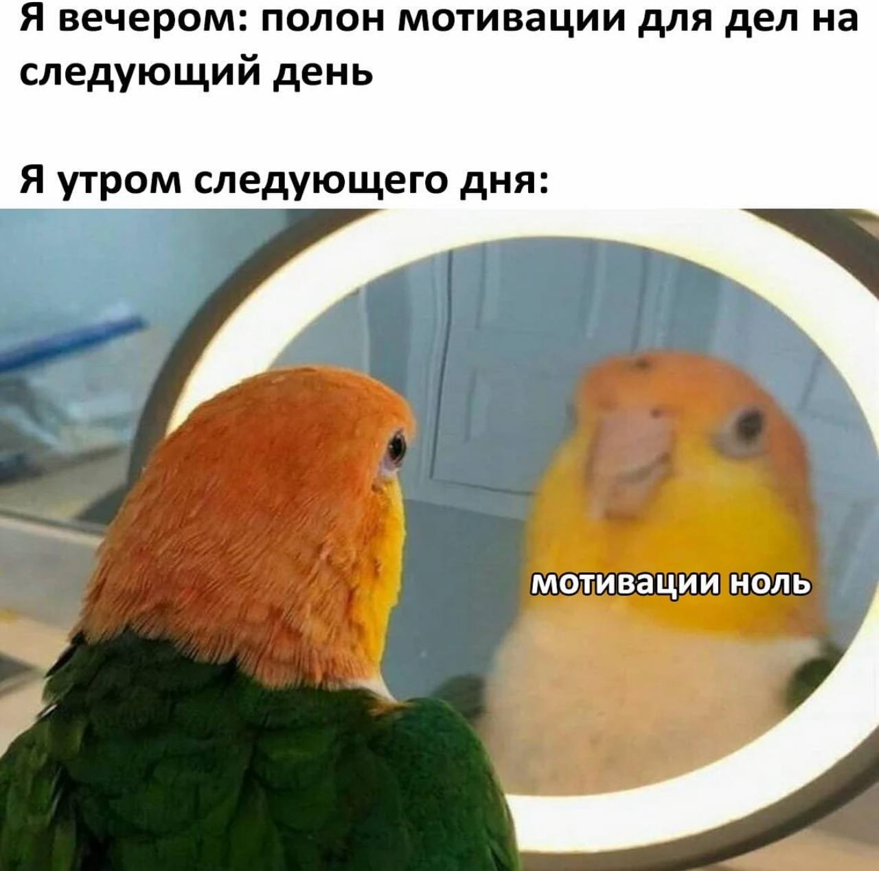 Я вечером: полон мотивации для дел на следующий день Я утром следующего дня:
