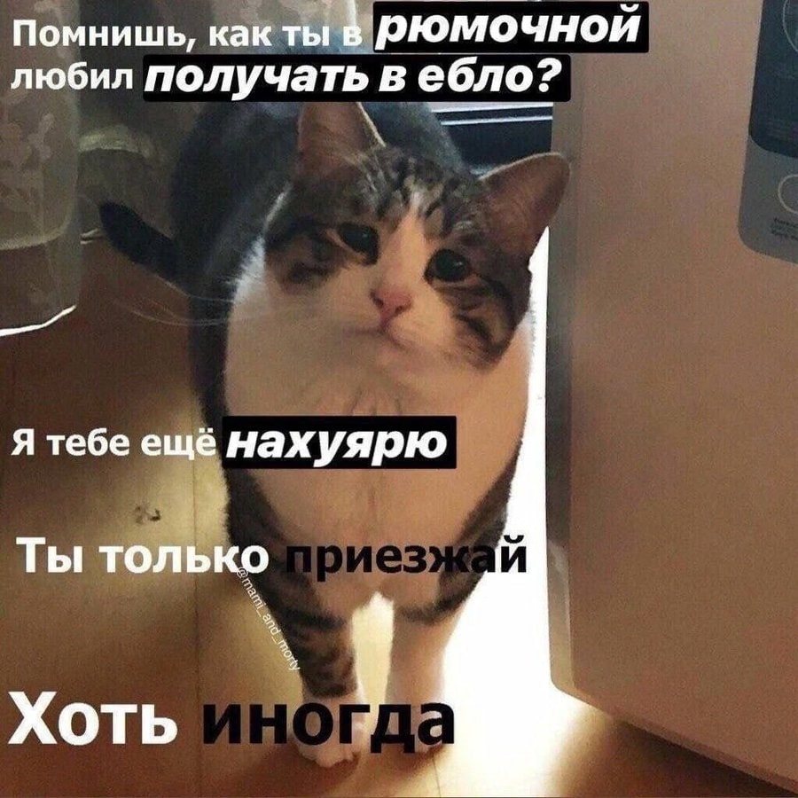 Помнишь, как ты в рюмочной любил получать в ебло? Я тебе ещё нахуярю Ты только Хоть