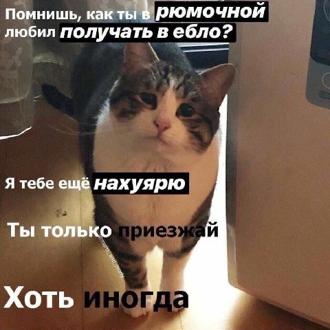 Помнишь, как ты в рюмочной любил получать в ебло? Я тебе ещё нахуярю Ты только Хоть