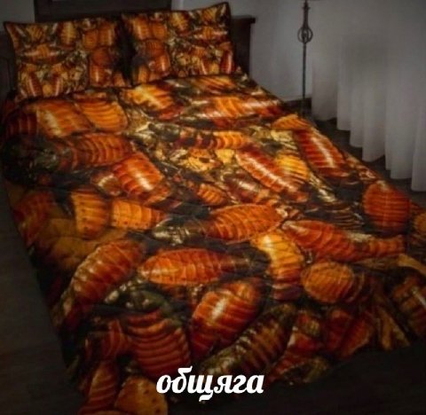 одщяга