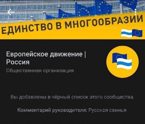 НОГООБРА Европейское движение Россия Общественная организация Вы добавлены в чёрный список этого сообщества. Комментарий руководителя: Русская свинья