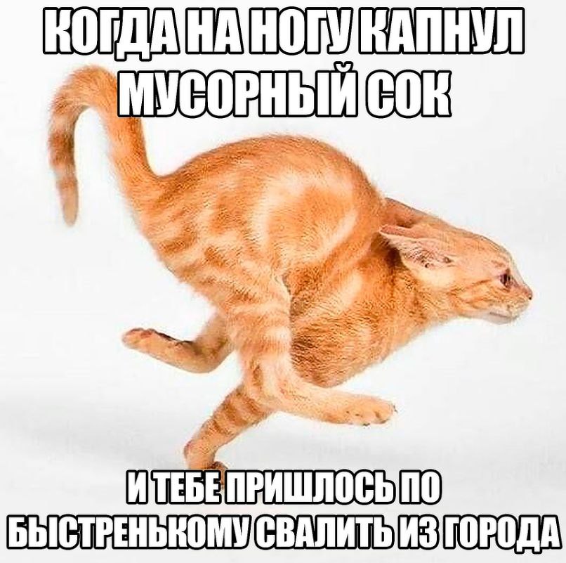 wey Я 4 БЫСТРЕНЬКОМУСВАЛИТЬ