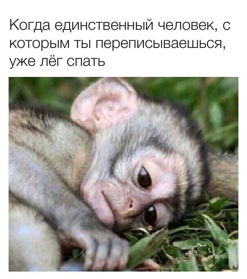 Когда единственный человкк, с которым ты переписываешься, уже лег спать 4