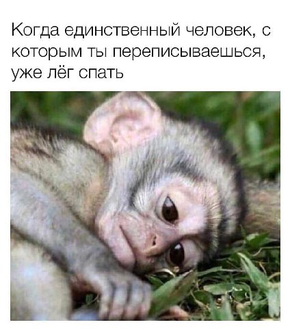 Когда единственный человкк, с которым ты переписываешься, уже лег спать 4