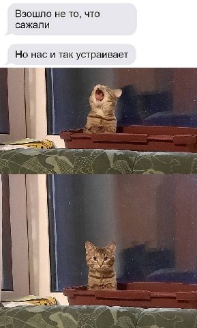 Взошло не то, что сажали Но нас и так устраивает