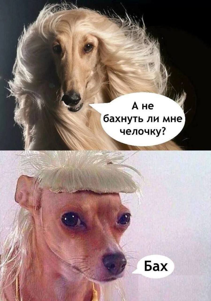 у 4 у A He ахнуть ли мне челочку? A 4 у 1, 5 Бах 4 у