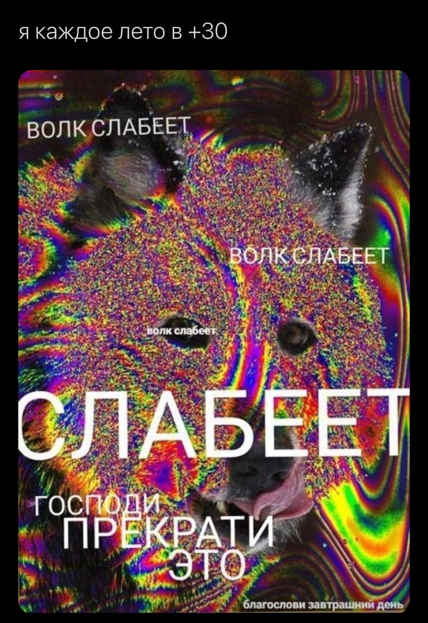 я каждое лето в +30 ВОЛК СЛАБЕЕТ as ВОЛК СЛАБЕЕТ we as ave 4 aks волк слабеет. tec 4 as. as a, ГОС А “at благослови завтрашнии день