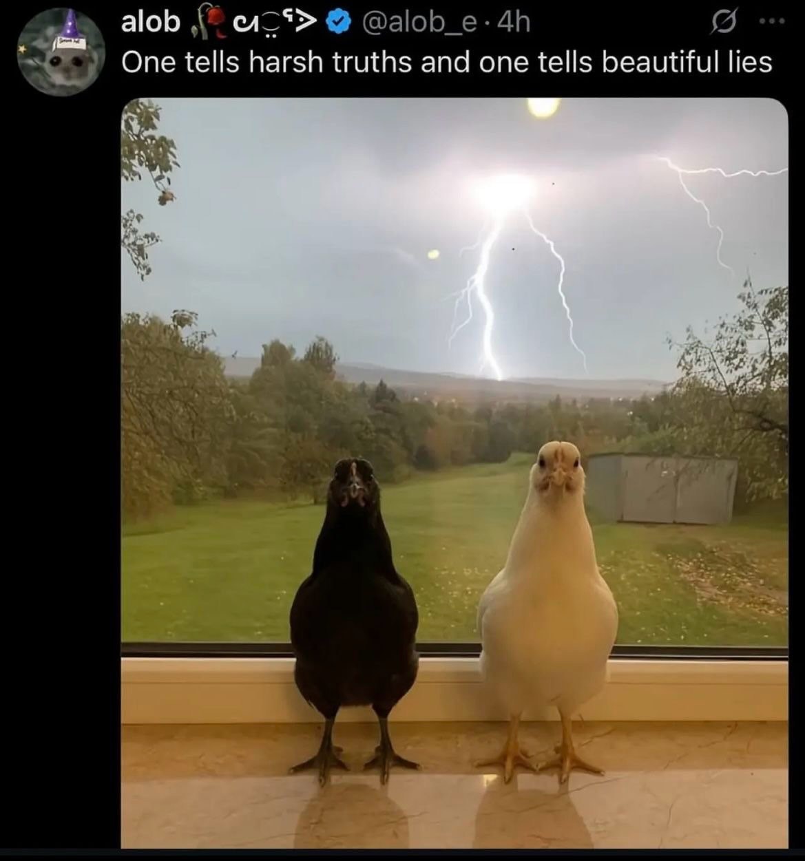 alob One tells harsh truths and one tells beautiful lies