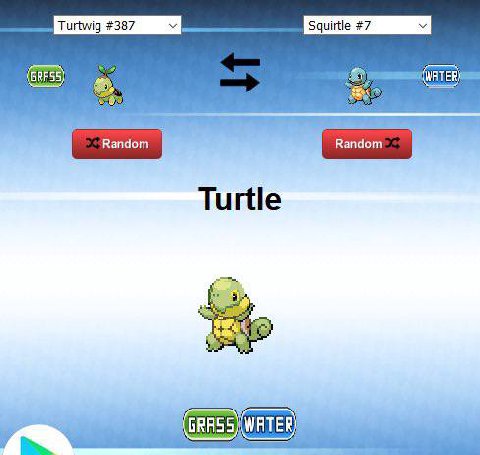 Random Turtle