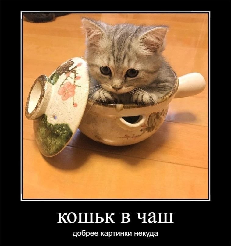 В добрее картинки некуда