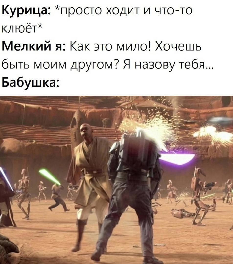 Курица: *просто ходит и что-то клюёт* Мелкий я: Как это мило! Хочешь быть моим другом? Я назову тебя Бабушка: я у