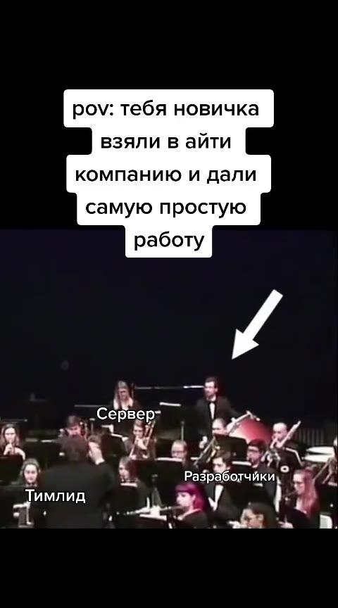 pov: тебя новичка взяли в айти компанию и дали самую простую р ‚ -Серверт ! я Тимлид са т