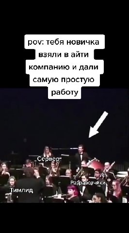 pov: тебя новичка взяли в айти компанию и дали самую простую р ‚ -Серверт ! я Тимлид са т