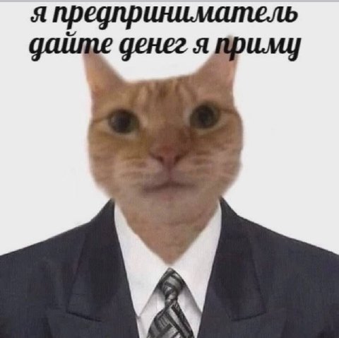 я предприниматель денег я
