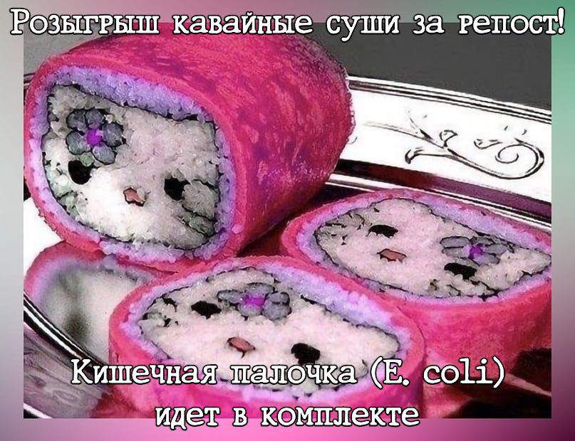 кавайные суши за (3 Кишечная coli) идет в комплекте
