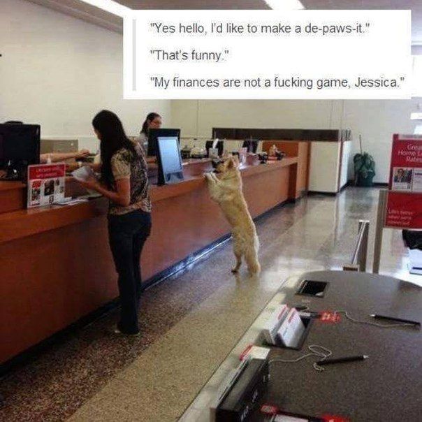 "Yes hello, like to make а де-рамиз-й." funny.” “My аге not a fucking game, Jessica.” а