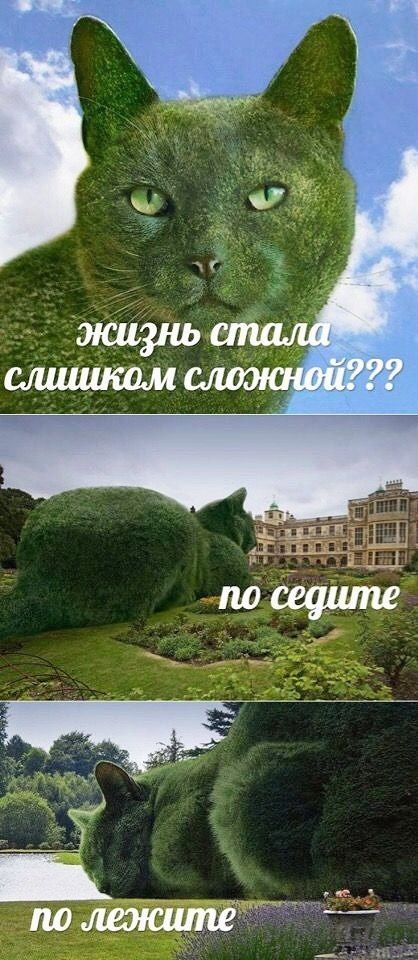 ЖИЗНЬ слшиком сложной??? no седите по лежите