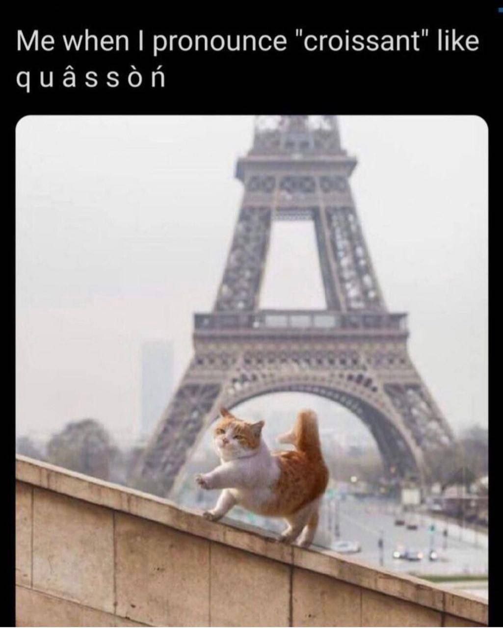 Me when pronounce "croissant" like quasson