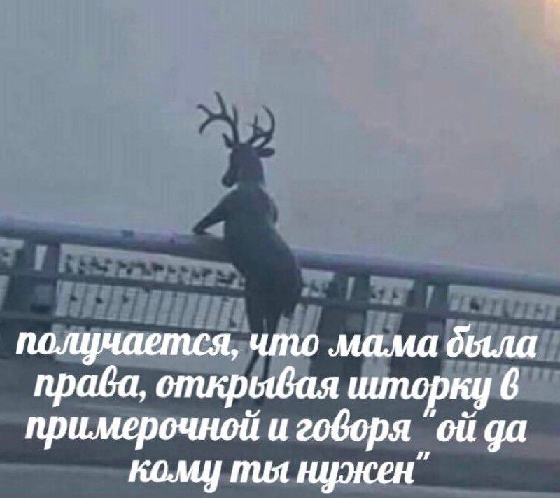 получается, что мама была праба, примерочной и говоря ывая шторну 6 кому ты нужен”