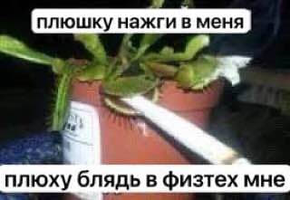 нажги в меня плюху блядь в физтех мне