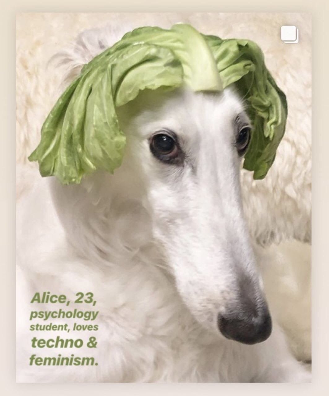 Alice, 23, psychology student, loves techno feminism.