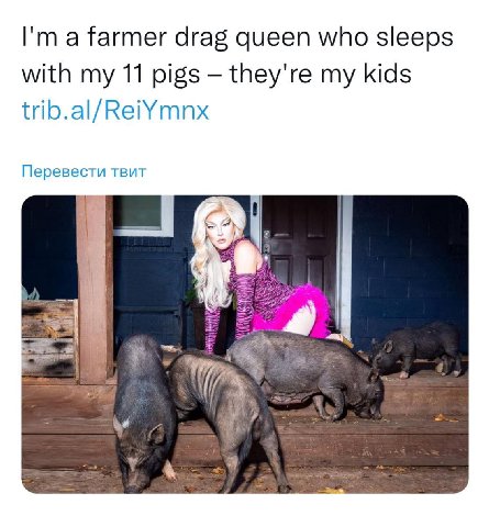 a farmer drag queen who sleeps with my 11 pigs they're my kids trib.al/ReiYmnx Перевести твит С Я