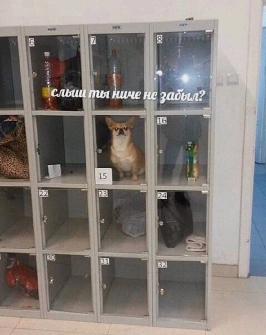 i 4 4 у 4 слыштя ниче He у 2