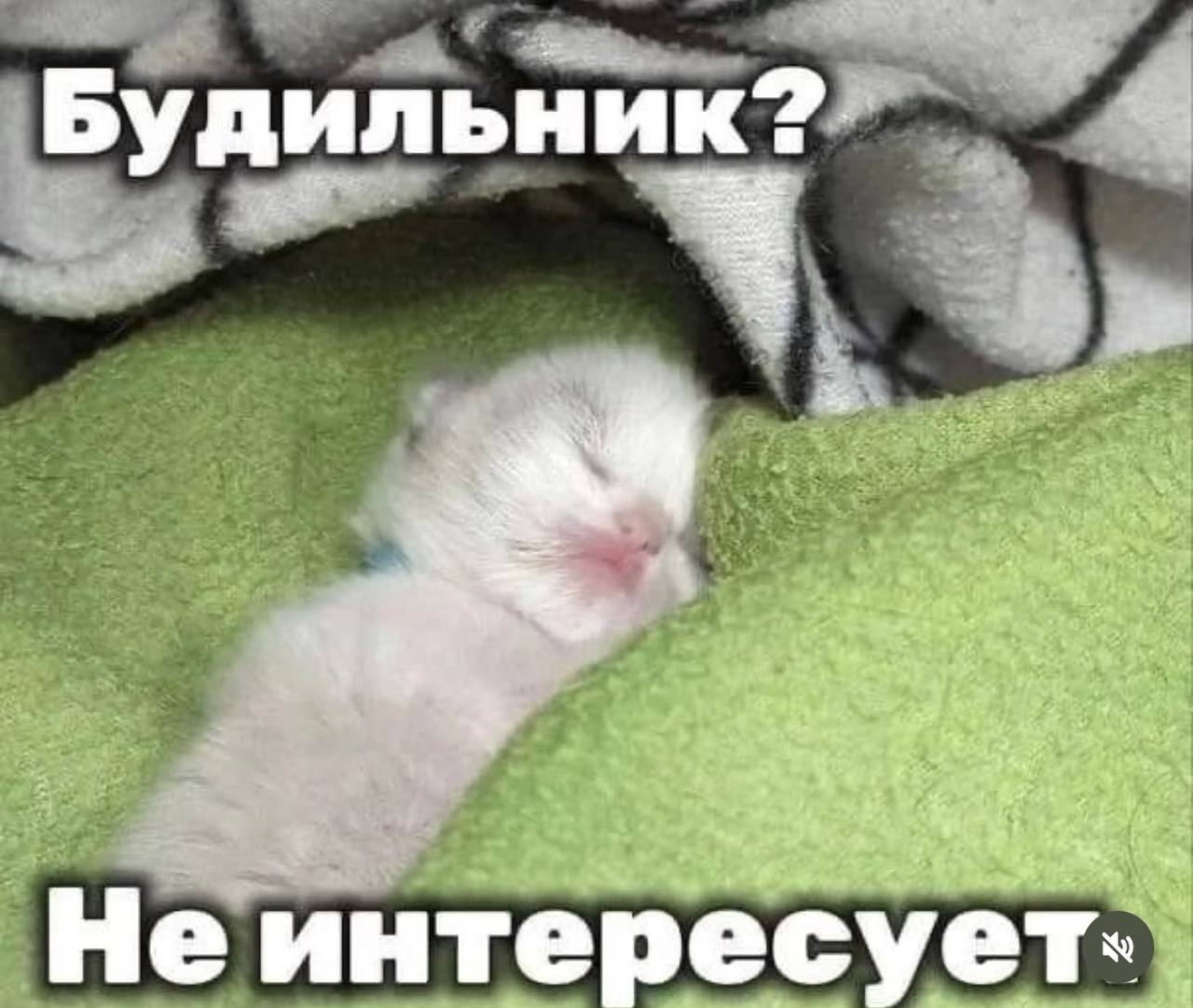 Будильник 4 Не